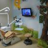 Лечение пораженных зубов у детей в детском стоматологическом кабинете : преимущества и последствия  